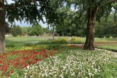 Foto-06.08.19-17-32-14-scaled