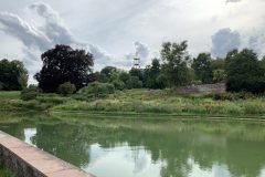 Foto-06.08.19-17-42-34-scaled