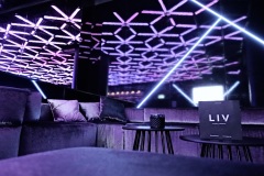 Liv-1
