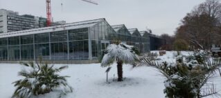 Kleiner aber feiner Überblick der Pflanzenwelt – das Gewächshaus der Uni Hohenheim