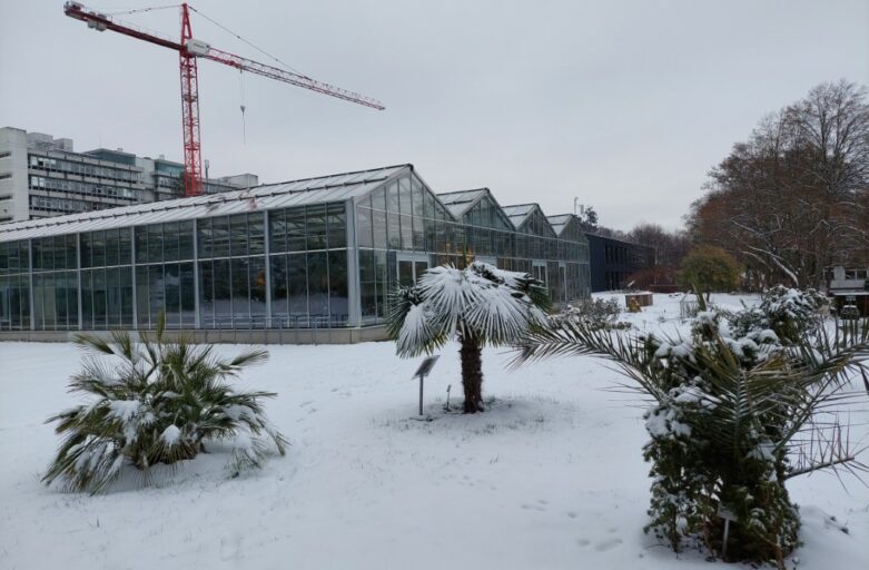 Kleiner aber feiner Überblick der Pflanzenwelt – das Gewächshaus der Uni Hohenheim