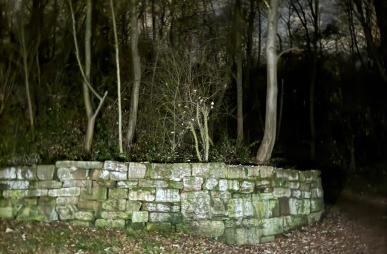 Von Trümmern zum Aussichtspunkt: Der Birkenkopf über Stuttgart